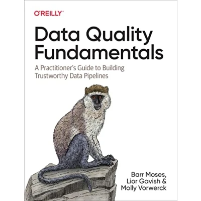 Afbeelding van Data Quality Fundamentals