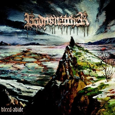 Afbeelding van Bodysnatcher Bleed/Abide (LP)