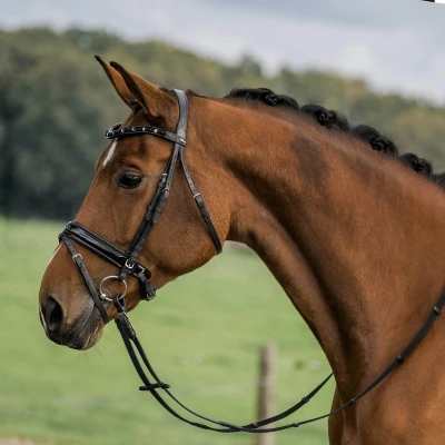 Afbeelding van Horka Hoofdstel Zwart Pony