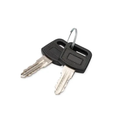 Afbeelding van Digitus DN KEY WM 10 inch, 19 inch Sleutel voor patchkast Zwart, Zilver
