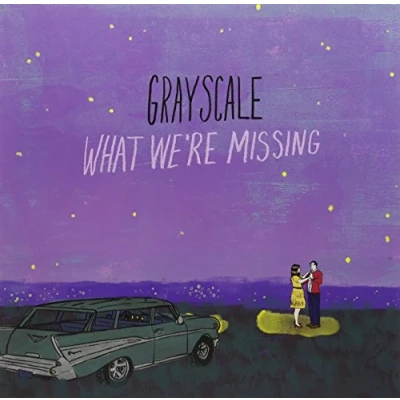 Afbeelding van Grayscale What We&#039;re Missing (LP)