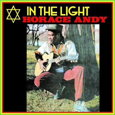 Afbeelding van In The Light (LP)