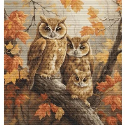 Afbeelding van Luca S The Owls Family borduren (pakket) BU5045