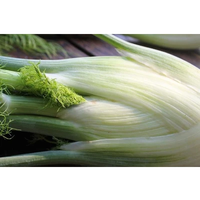 Afbeelding van Knolvenkel &#039;Fino&#039; Foeniculum vulgare Bio groentezaden