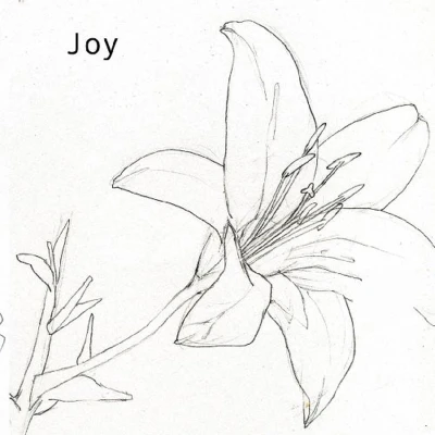 Afbeelding van Joy (CD)