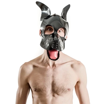 Afbeelding van Hondenmasker Fetch Mister B