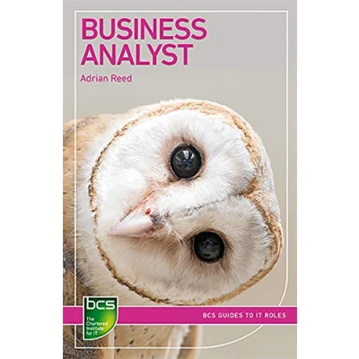 Afbeelding van Business Analyst