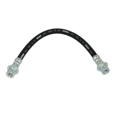 Afbeelding van Remslang DELPHI LH6087
