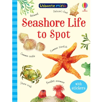 Afbeelding van Seashore Life to Spot Usborne Mini Books Minis
