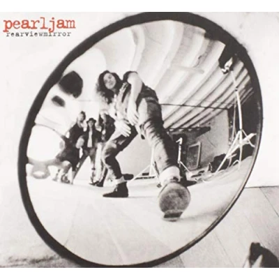 Afbeelding van Rearviewmirror (greatest Hits)