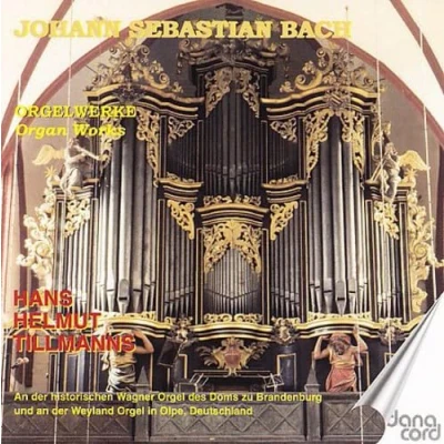 Afbeelding van Js Bach: Organ Music Vol.12