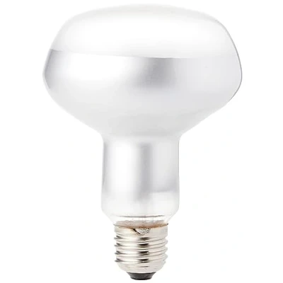 Image de Exo Terra Intense Basking Spot lumière du jour 150 W