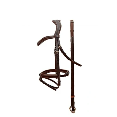 Image de Passier Snaffle Bridle No Limits
