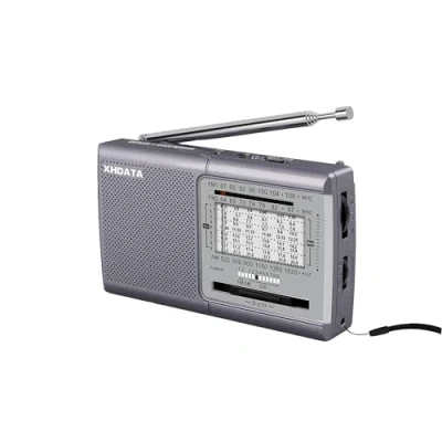 Afbeelding van XHDATA D219 12 strepen AM/FM/SW korte golf zakontvanger voor thuis of op reis grijs