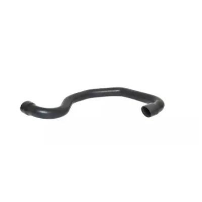 Afbeelding van BUGIAD 88768 Laadluchtslang OPEL: Vivaro A Van, Combi, RENAULT: TRAFIC 2 Kasten