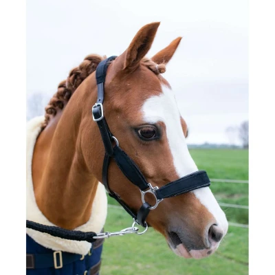 Afbeelding van HB Halster Showtime Velvet Little Sizes Zwart/Zwart Glitter Shetland Agradi.be