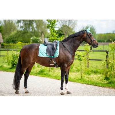 Image de HB Tapis de Selle Dressage Showtime Limette doux