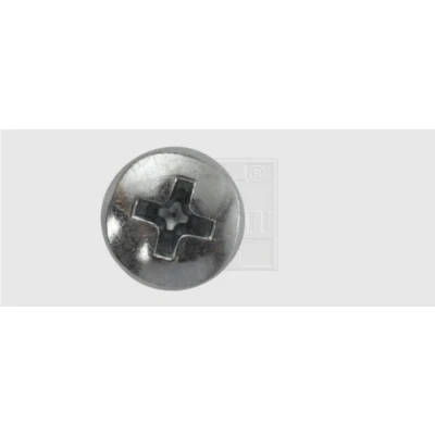 Afbeelding van SWG Tapschroef assortiment M5 20 mm Kruiskop Phillips DIN 7985 Staal Verzinkt 100 stuk(s)