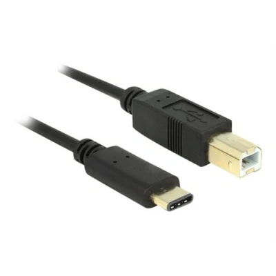 Image de Delock Câble USB 24 pin C (M) pour type B 2.0 3 A 2 m noir