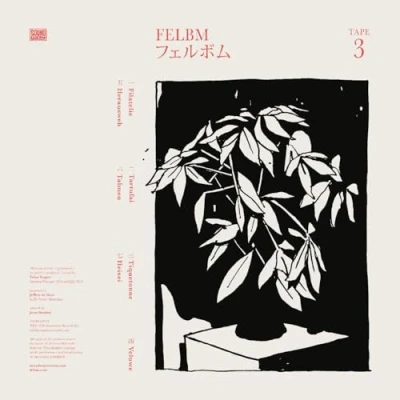 Afbeelding van Felbm Tape 3/Tape 4 (LP)