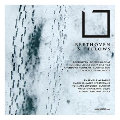 Afbeelding van Ensemble Alraune Beethoven &amp; Fellows (CD)