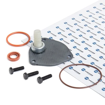 Afbeelding van Reparatieset, onderdrukpomp (remsysteem) Dr.Motor Automotive DRM0322