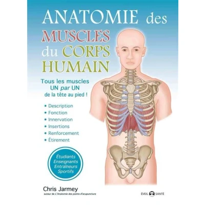 Image de Anatomie des muscles du corps humain