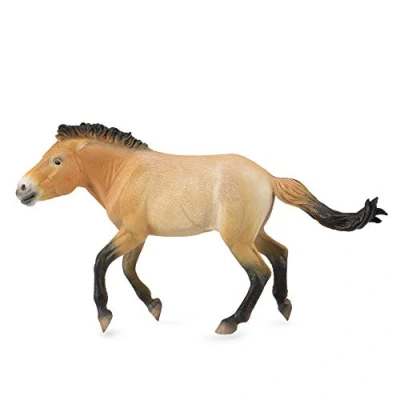 Afbeelding van COLLECTA Przewalski Hengst (XL)