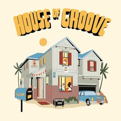 Afbeelding van V/A House of Groove (LP)