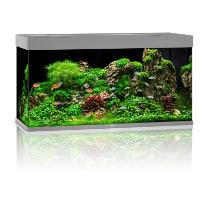 Afbeelding van Juwel Aquarium Rio 350 Led 121x51x66 cm Aquaria Grijs