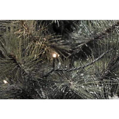Afbeelding van Konstsmide 3647 110 Micro lichtketting Buiten Energielabel: F (A G) werkt op het lichtnet Aantal lampen 800 LED Warmwit Verlichte lengte: 55.93 m