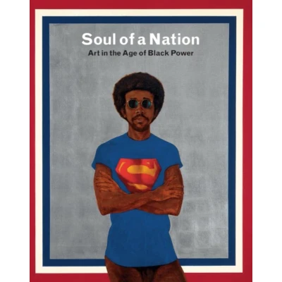 Afbeelding van Soul of a Nation