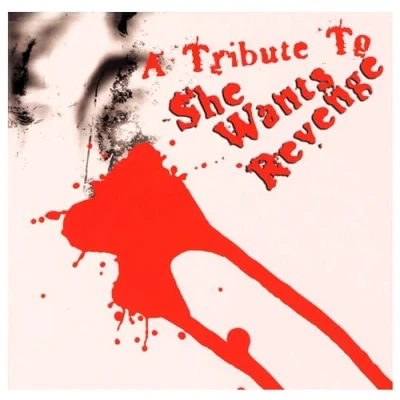 Afbeelding van Various Artists Tribute To She Wants Revenge (CD)