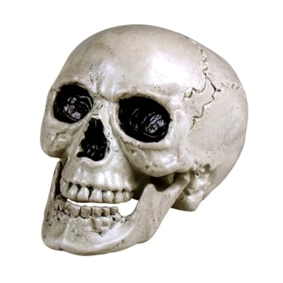 Afbeelding van Boland Schedel Maxilla wit met beweegbare kaak Piraten;Horror Piraten Horror