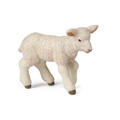 Image de Agneau mérinos