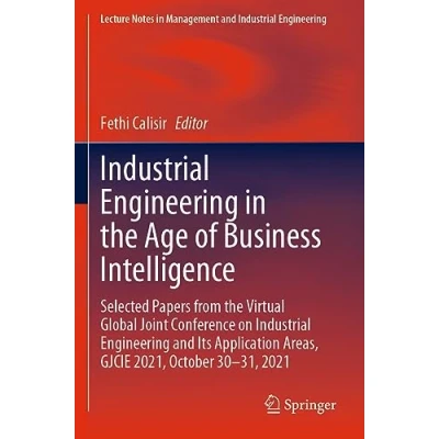Afbeelding van Lecture Notes in Management and Industrial Engineering the Age of Business Intelligence