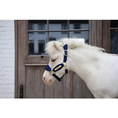 Afbeelding van Velvet halster marine shetland pony