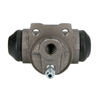 Afbeelding van Wielremcilinder DELPHI LW22132