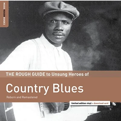 Afbeelding van V/A Rough Guide To Unsung Heroes of Country Blues (LP)