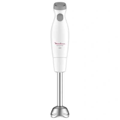Image de Moulinex Mixeur Plongeur Easychef (dd451110)
