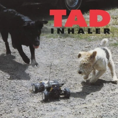 Afbeelding van Tad Inhaler (LP)