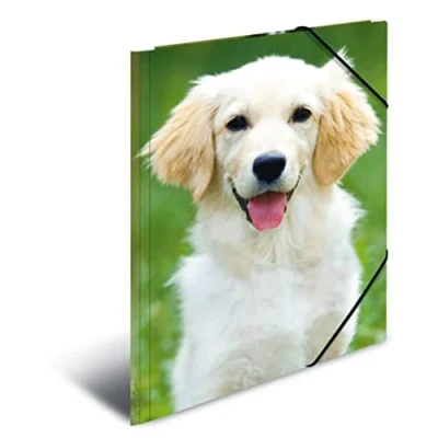 Afbeelding van Elastomappen A3 PP Canine