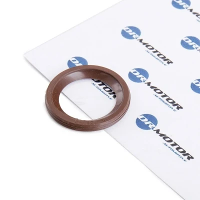 Afbeelding van Dichtring, verstuiverhouder Dr.Motor Automotive DRM0201