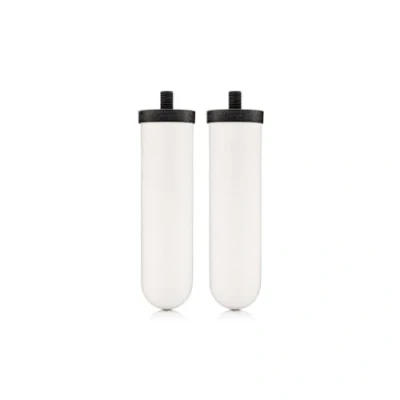 Afbeelding van 2 stuks reservefilters van zware metaal
