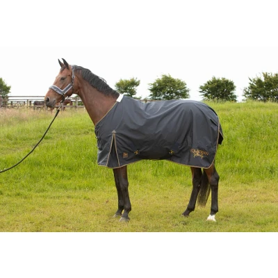 Image de Harry&#039;s Horse Couverture Imperméable Thor Fleece BlueberryVendu par Agradi