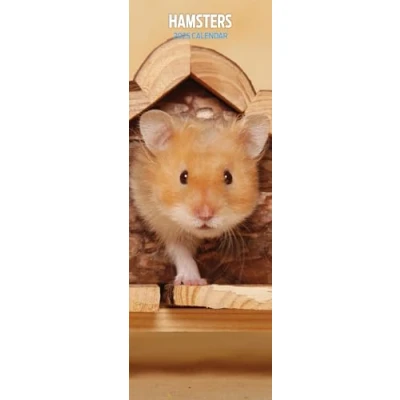 Afbeelding van Kalender 2025 Hamsters