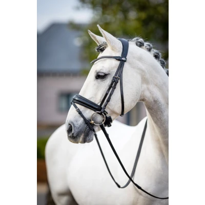 Image de le mieux classic hoofdstel
