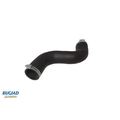 Afbeelding van Laadluchtslang BUGIAD 82268