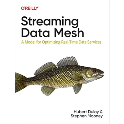 Afbeelding van Streaming Data Mesh