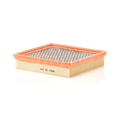 Afbeelding van Mann filter Luchtfilter C 22 029